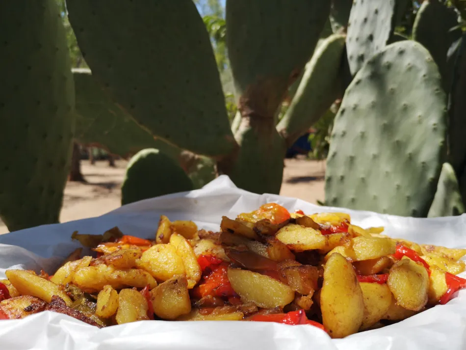 Village Camping Fico d'India