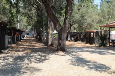Caravan