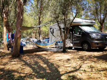 Emplacement - Emplacement - Village Camping Fico d'India