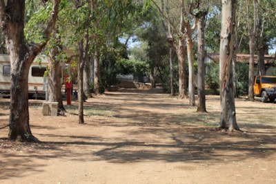 Pitch