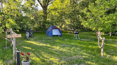 Pitch: 1 tent, caravan or motor home / 1 car / electricity
