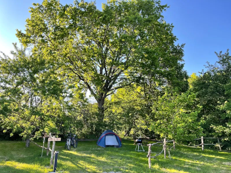 Emplacement: Tente, Caravane Ou Camping-Car / 1 Voiture / Électricité