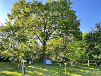 Pitch: 1 tent, caravan or motor home / 1 car / electricity