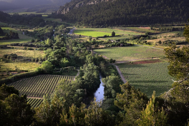 Flower Camping Olivigne - Camping - Bize-Minervois