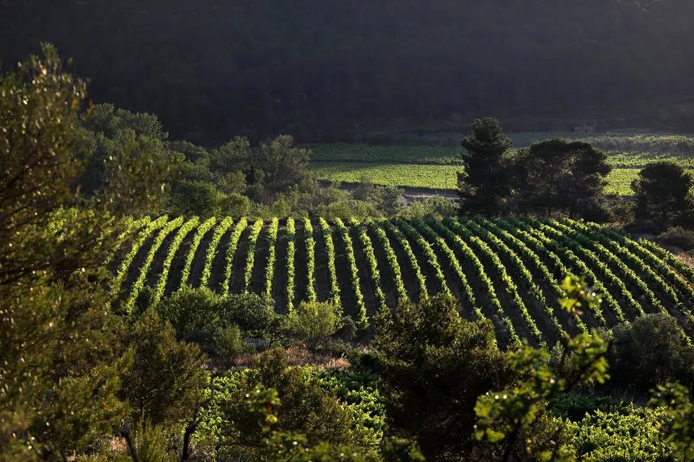 Flower Camping Olivigne - image n°9 - UniversalBooking