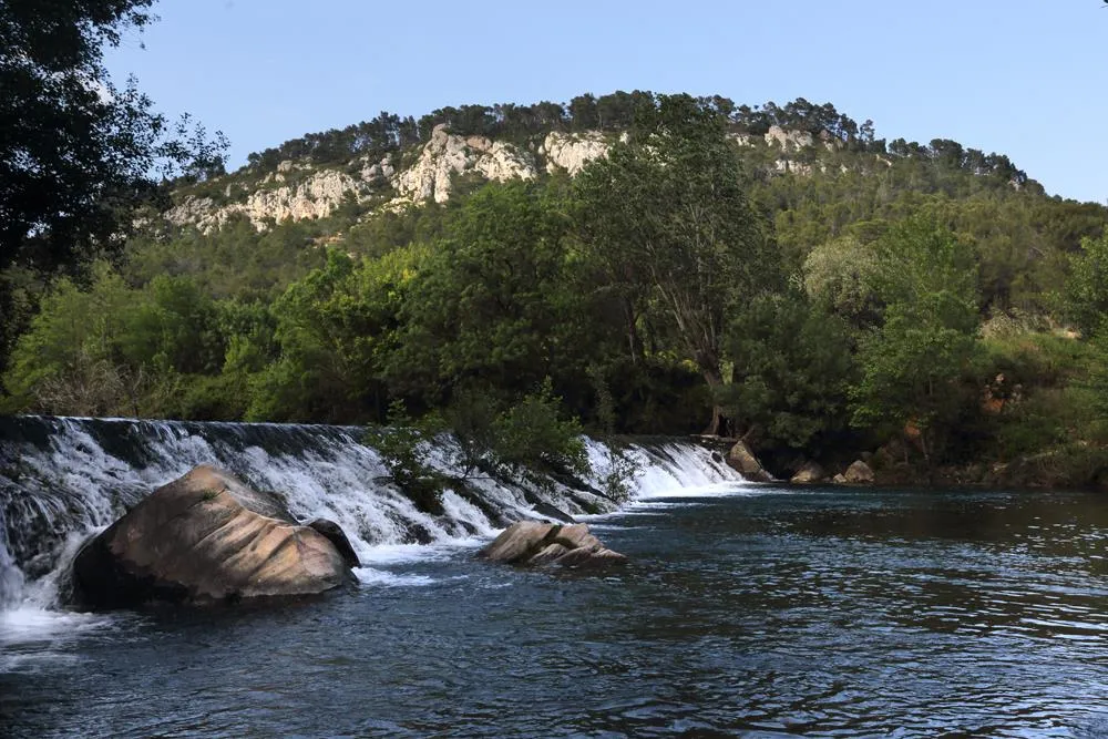 Flower Camping Olivigne - image n°10 - UniversalBooking