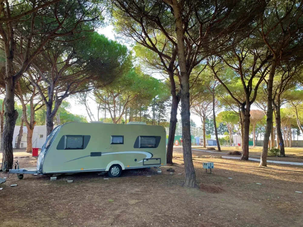 Camping Conil  - image n°9 - Camping Direct