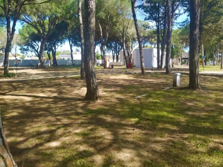 Camping Conil  - image n°10 - Camping Direct