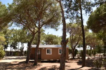 Mietunterkunft - Bungalow Confort Poniente - TAIGA Conil
