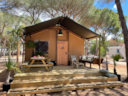 Tienda Metis - 25M² - Tienda Metis - 25M² -