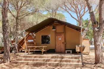 Mietunterkunft - Glamping Safari Premium Siroco - TAIGA Conil