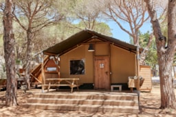 Accommodation - Glamping Safari Premium Siroco - TAIGA Conil