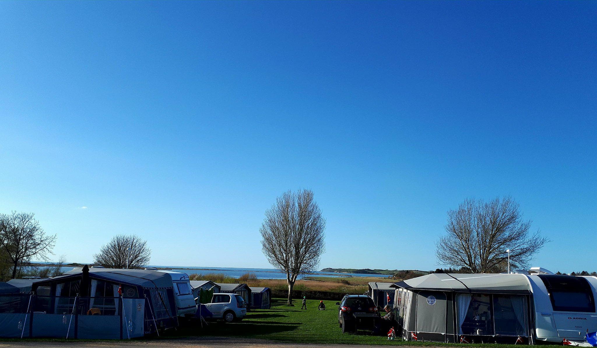 Vesterlyng Camping — Photo 4