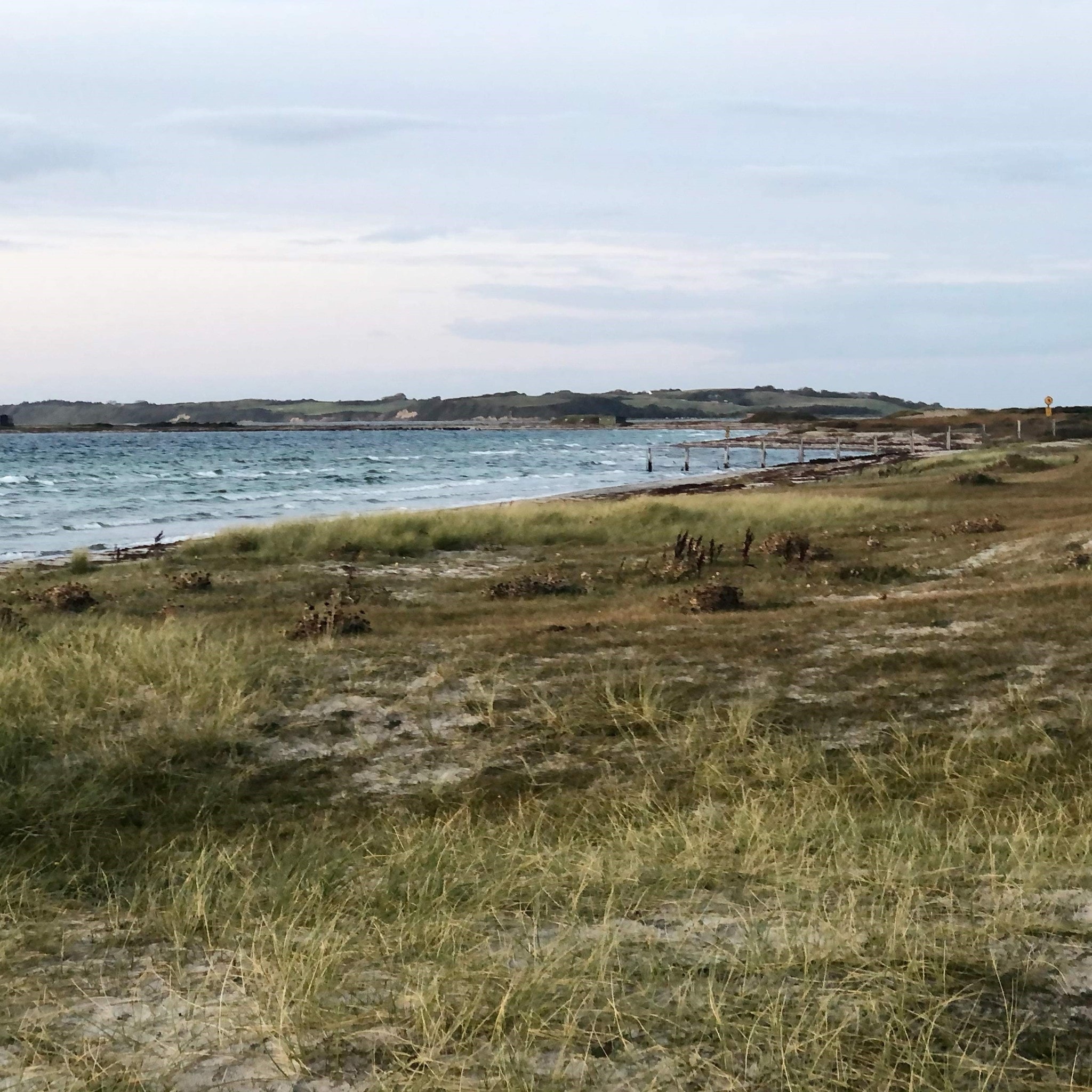 Vesterlyng Camping — Photo 6
