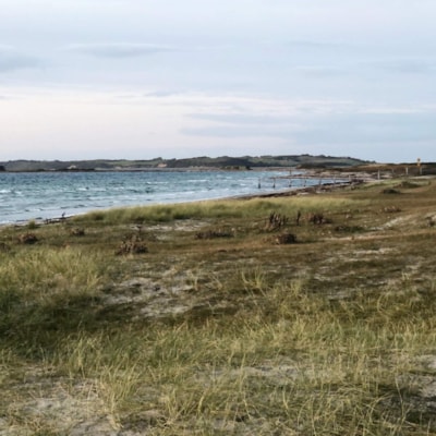 Vesterlyng Camping