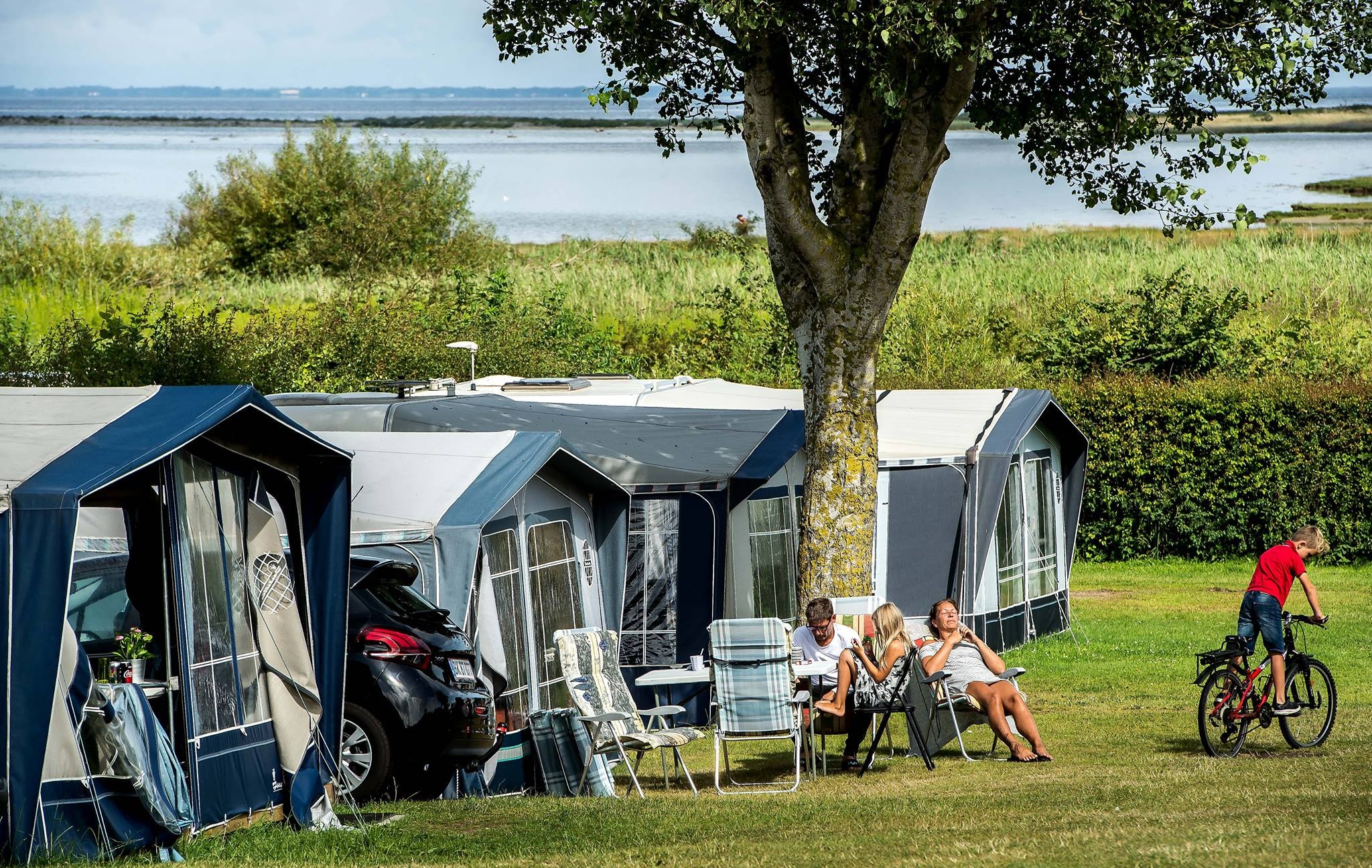 Vesterlyng Camping — Photo 7