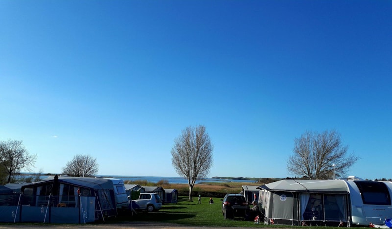 Vesterlyng Camping photo 2