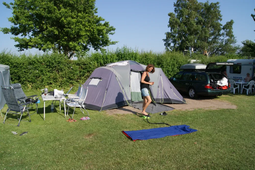 Emplacement - Emplacement Sans Électricité - Vesterlyng Camping