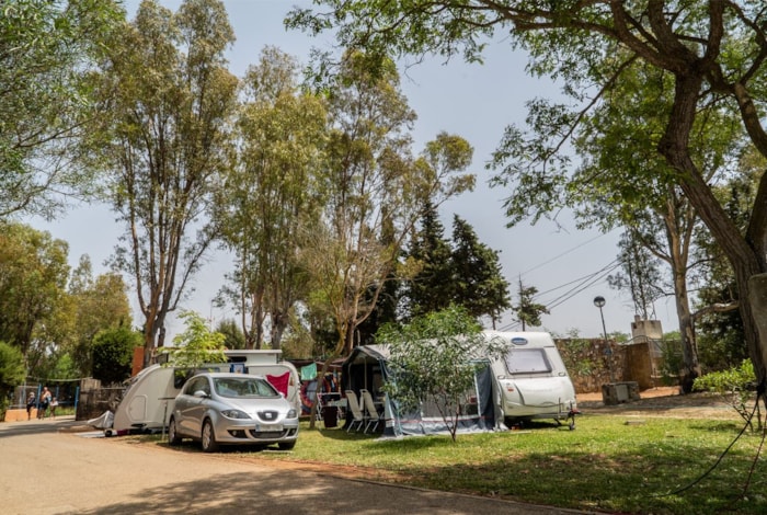 Emplacement Premium: Camping Car + Tente + Électricité  Ou Voiture + Caravane + Tente + Électricité