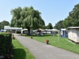 Foto #7 van Camping de Meeuw