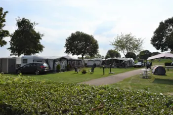Stellplatz - Stellplatz Mit Strom - Camping de Meeuw