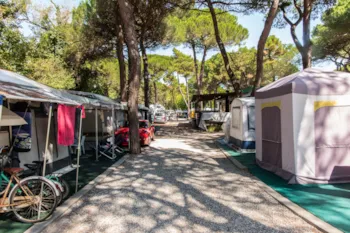 Stellplatz - Stellplatz Dog - Club del Sole Rivaverde Easy Camping Village 