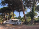 Foto #7 van Club del Sole Rivaverde Easy Camping Village