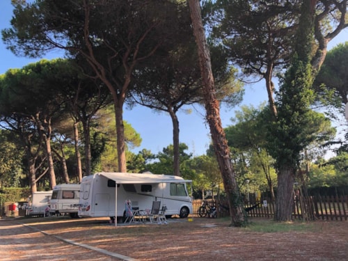 Foto #1 van Club del Sole Rivaverde Easy Camping Village