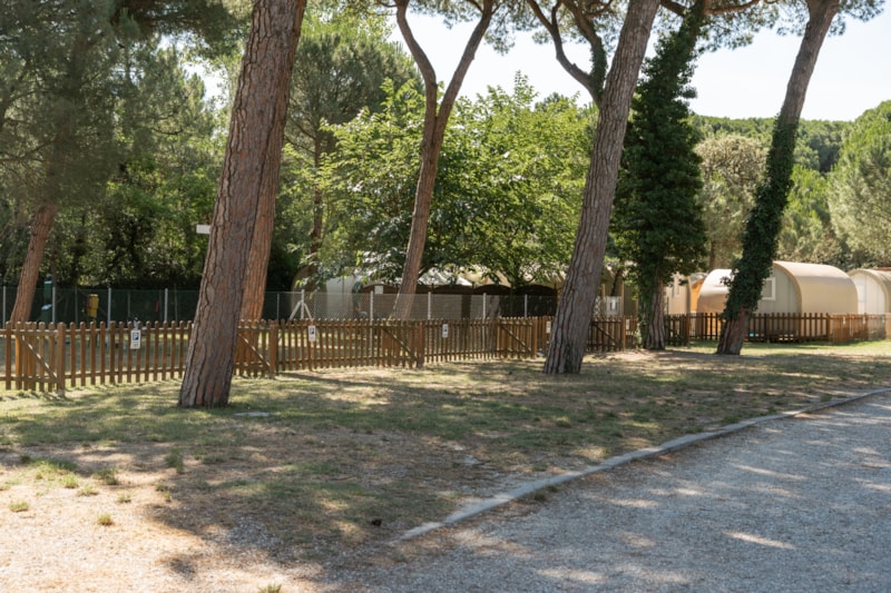 Stellplatz Haustiere erlaubt