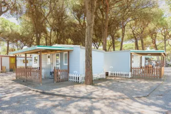 Mietunterkunft - Lodge Superior  Haustiere Erlaubt - Club del Sole Rivaverde Easy Camping Village 