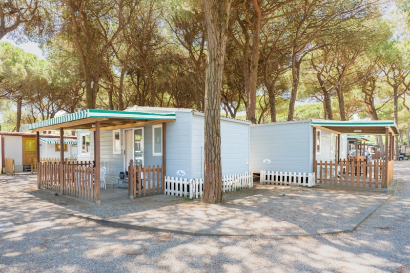 Lodge Superior  Haustiere erlaubt