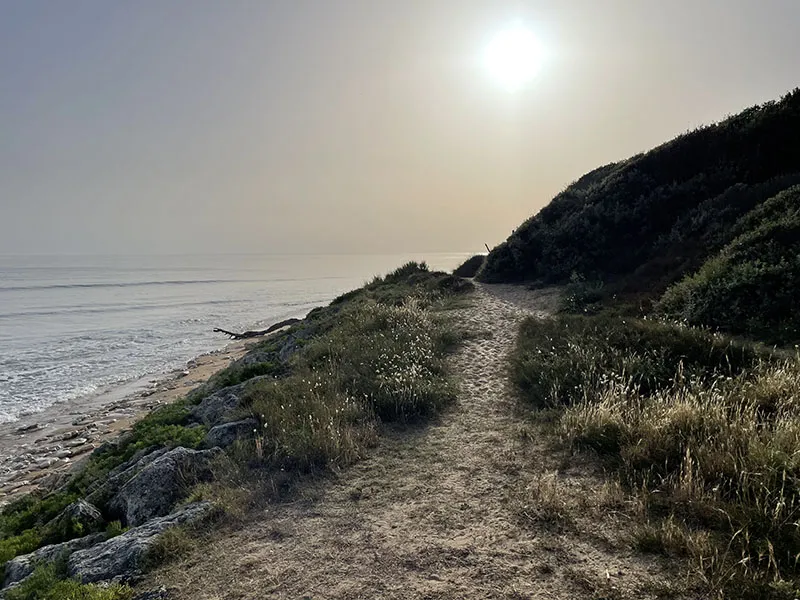 Forfait Emplacement + 1 Voiture + 1 Tente Ou Caravane Ou Camping-Car