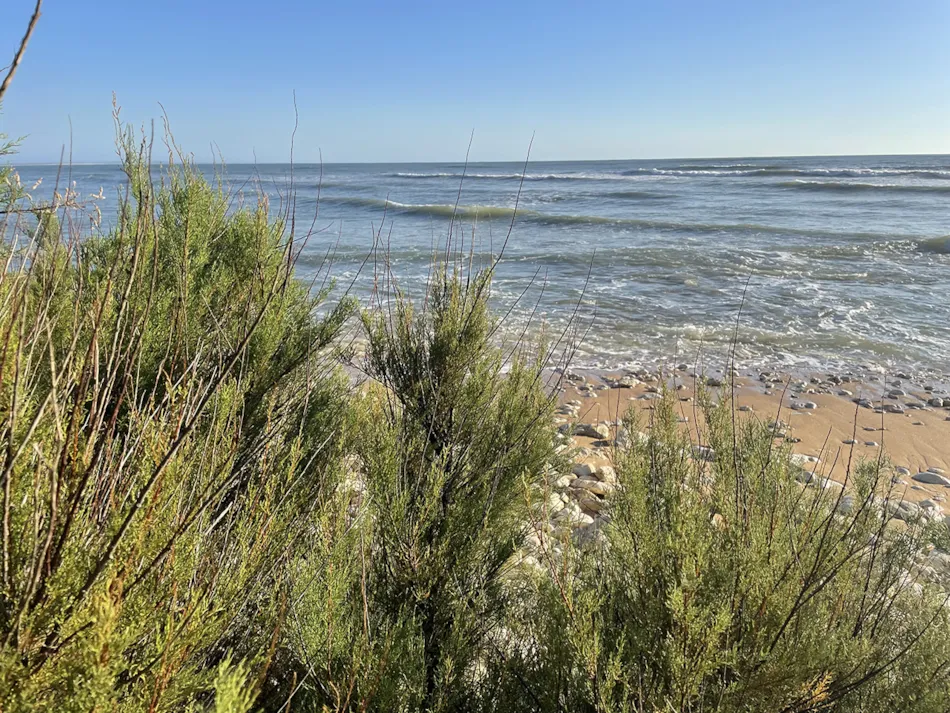 LES FLOTS-ATLANTIQUE ** Village 2