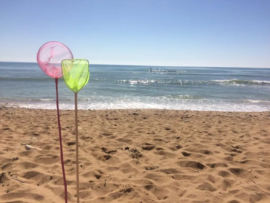 LES FLOTS-ATLANTIQUE ** Village 2