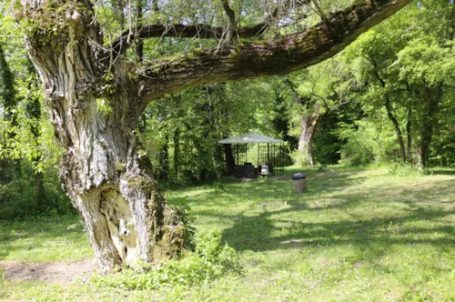 Stellplatz - Stellplatz "River Camp" - image n°5 - Camping La Vaugelette