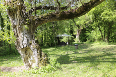 Pitch "River Camp"