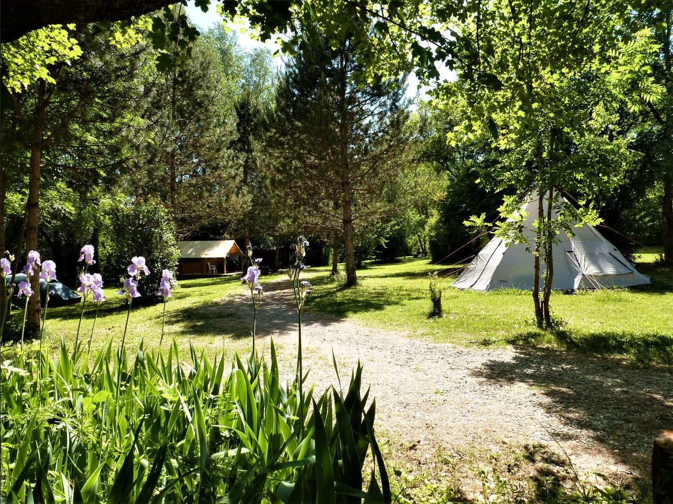 Camping La Vaugelette — Photo 4
