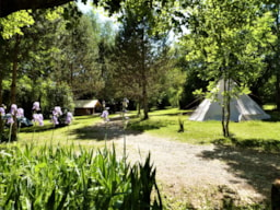 Camping La Vaugelette - image n°3 - Roulottes