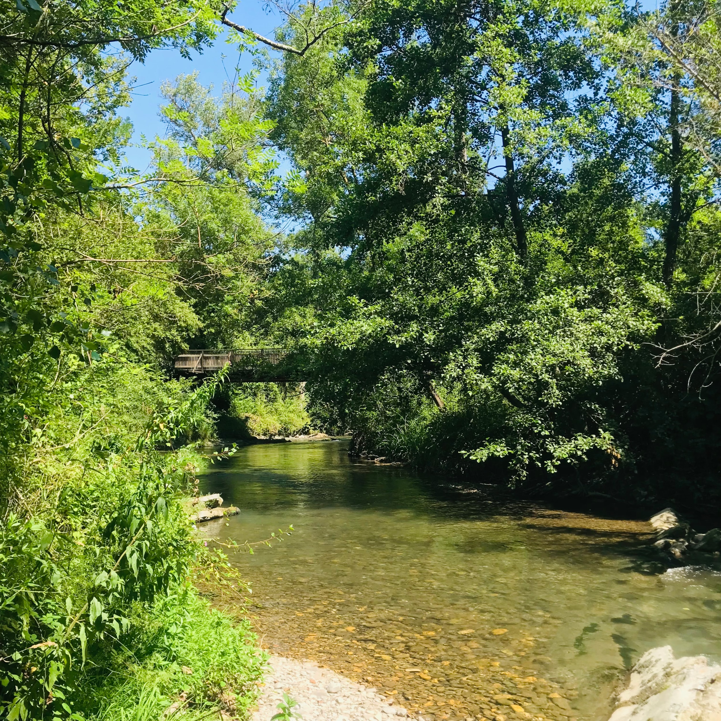 Camping La Vaugelette — Photo 2