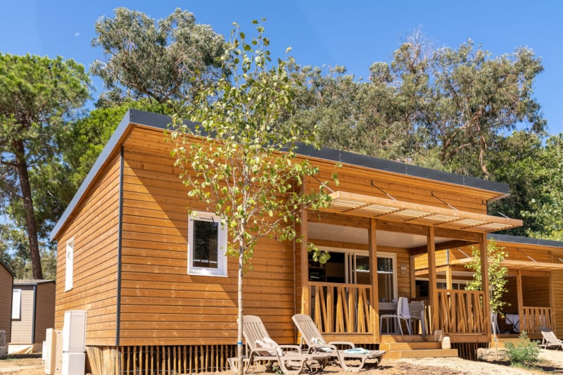 Chalet 2 bedrooms  Premium