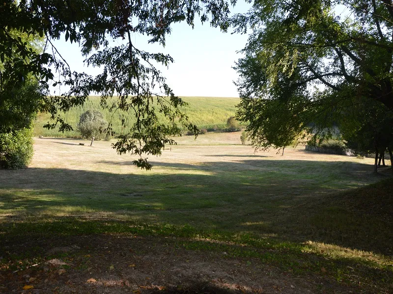 La Forêt Enchantée