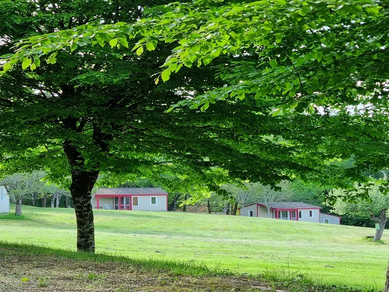 Chalet 38M² - 2 Chambres (Personne À Mobilité Réduite)