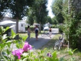 Foto #5 van Camping Le Maine