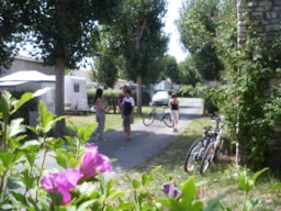 Camping Le Maine - image n°5 - Roulottes