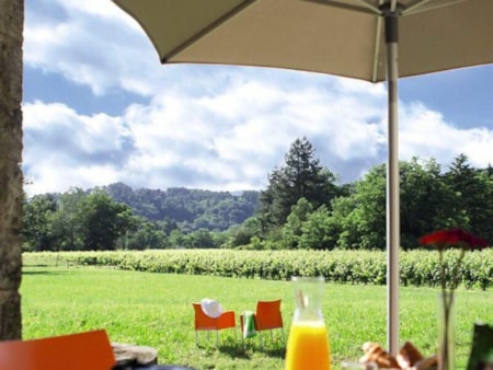 Domaine des Vans – Terres de France Domaine des Vans – Terres de France