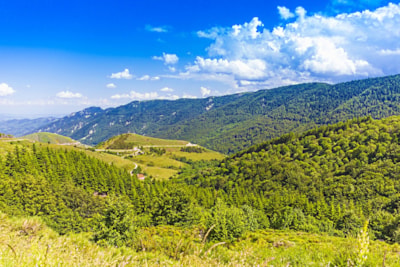Domaine des Vans - Terres de France