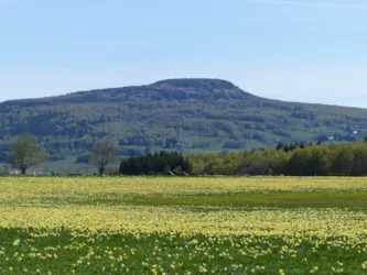 Domaine des Vans - Terres de France - image n°2 - Camping Direct