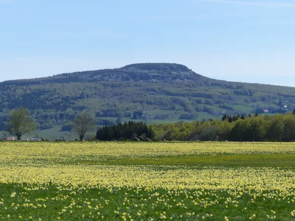 Domaine des Vans - Terres de France