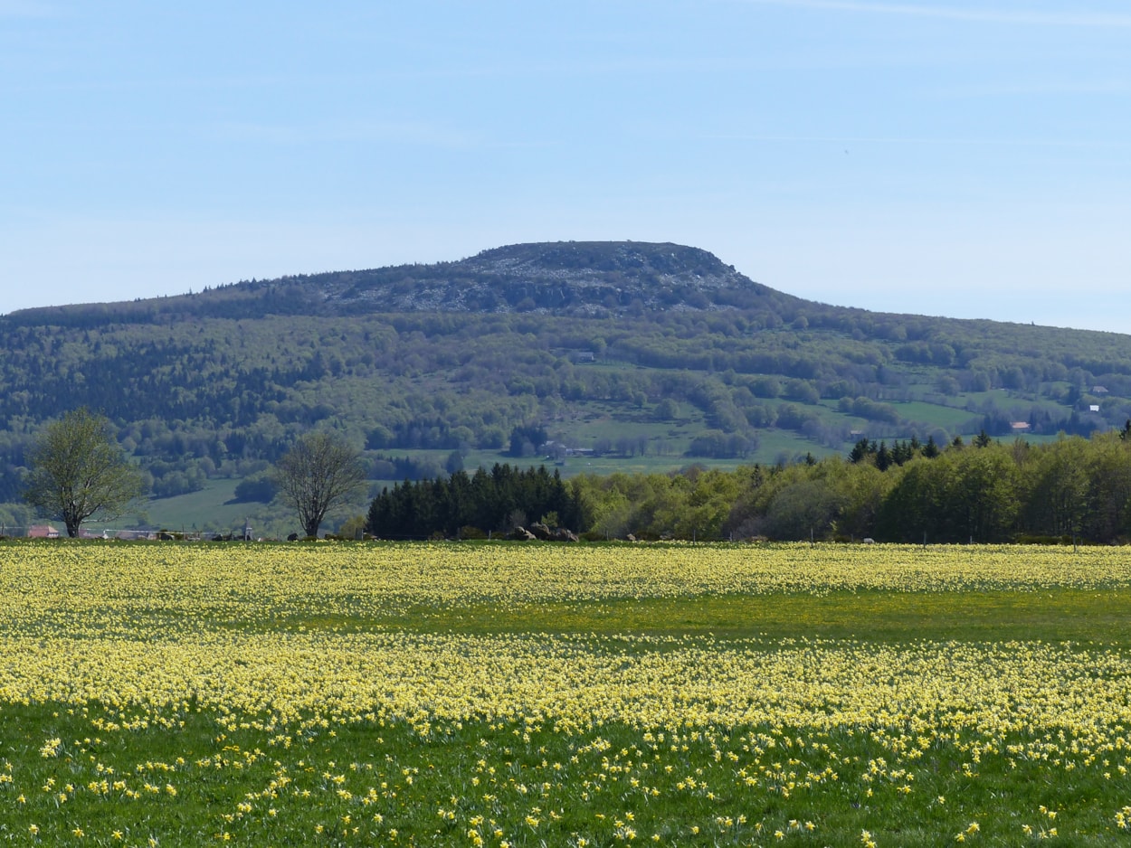 Domaine des Vans - Terres de France
