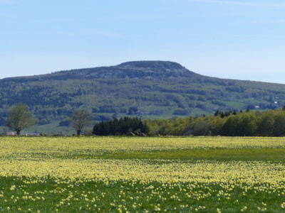 Domaine des Vans - Terres de France